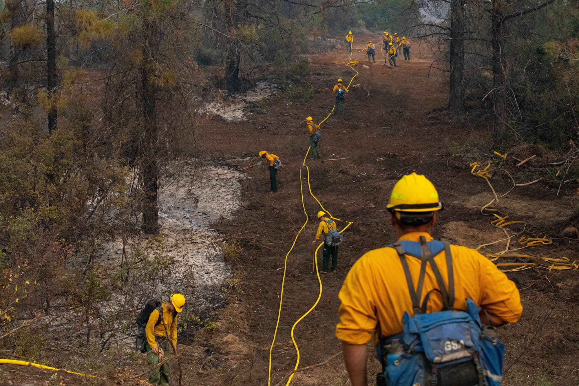 Wildland firefighters advancing hose along a cleared fire line